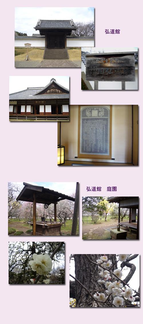 水戸 ウォーキング(1) 水戸城跡 弘道館_c0051105_1154339.jpg