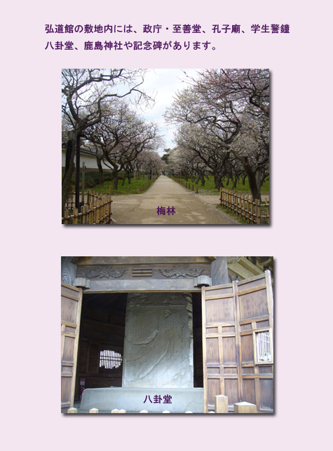 水戸 ウォーキング(1) 水戸城跡 弘道館_c0051105_1474695.jpg