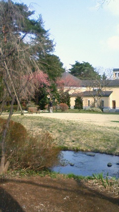 e0046305_8543725.jpg