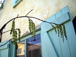 f0217905_18592722.jpg