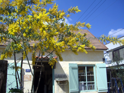 f0217905_18594841.jpg