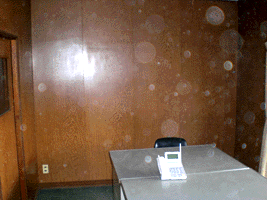 e0103408_10512154.gif