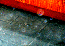 e0103408_10545758.gif