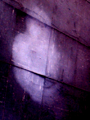 e0103408_10572071.gif