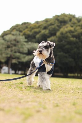 桃太郎の公園散歩_f0197317_1603643.jpg