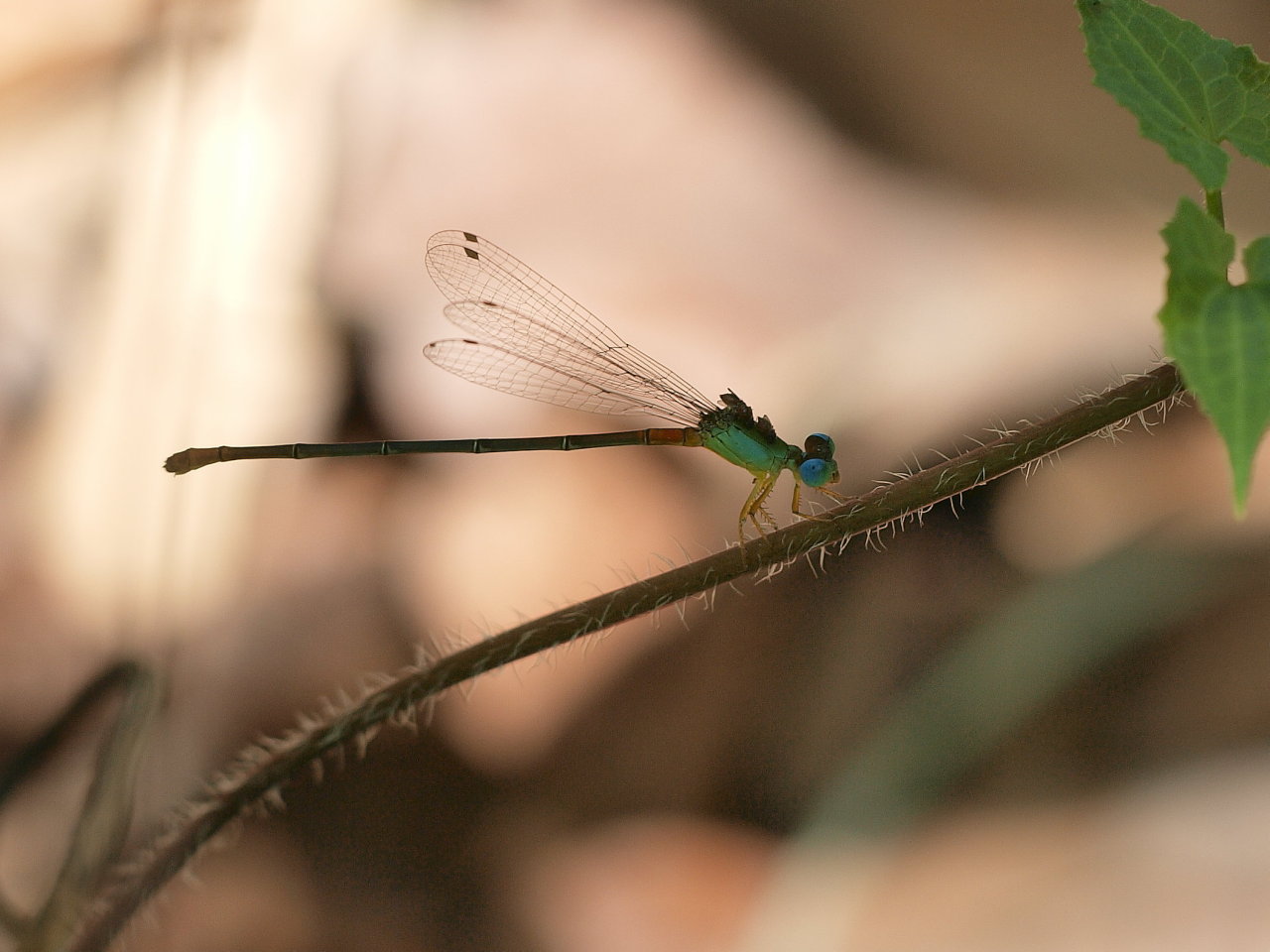 b0168218_0151543.jpg