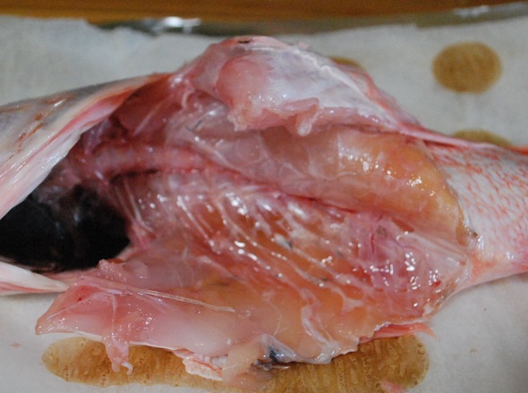 オーシャンパーチの蒸し焼き ブルーマウンテンの暮らし