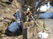 b0147224_20351215.jpg