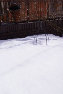 f0170524_10584843.jpg