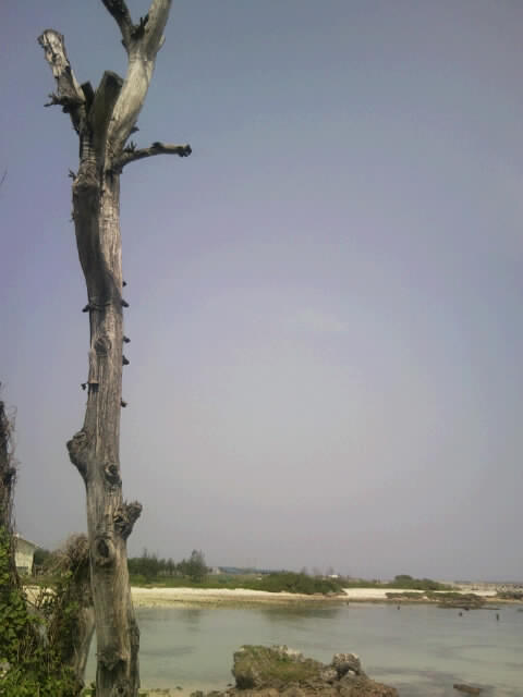 f0197325_12251572.jpg