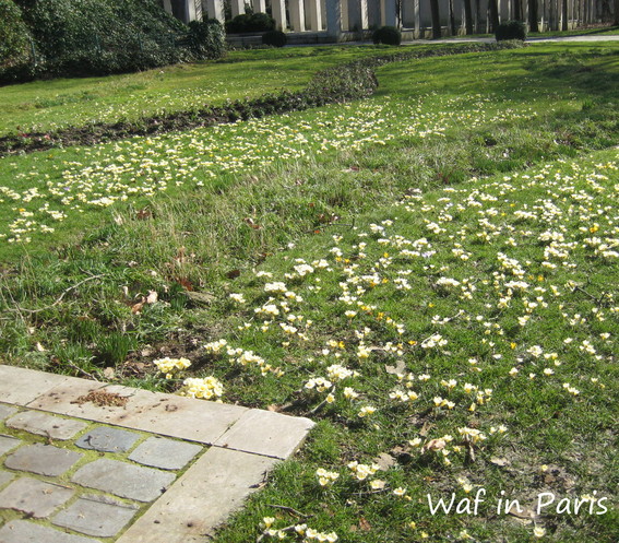 春の気配　－　Bercyの公園_c0157533_191014.jpg