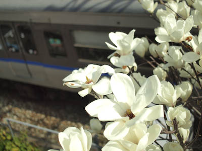 f0202957_8102254.jpg