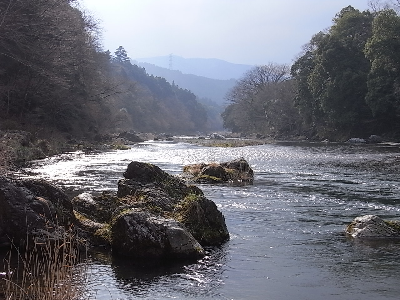 d0117565_21301313.jpg