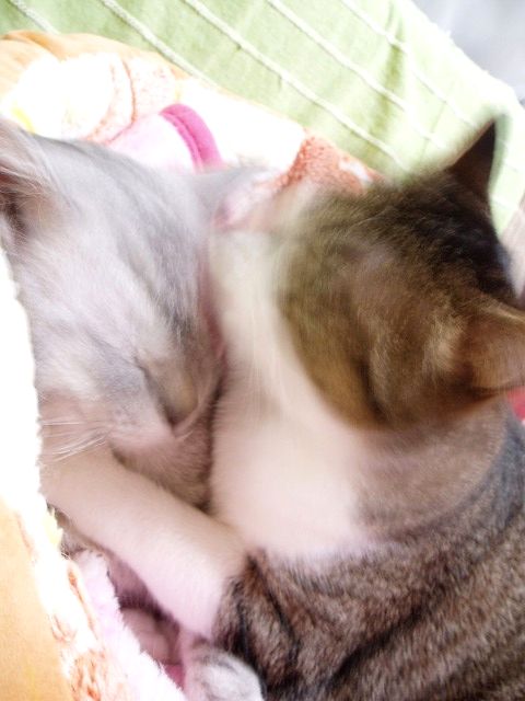 b0184969_2262222.jpg