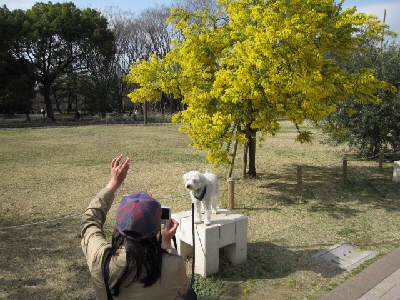 オラ、東京さ行っただ！　～代々木公園お散歩会①_f0203369_22361064.jpg