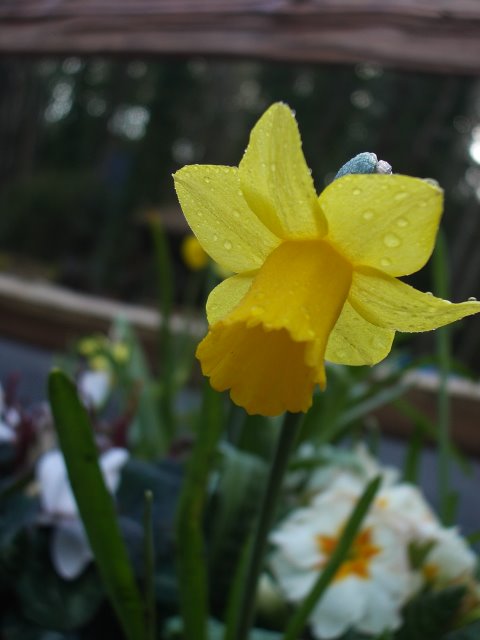 b0183670_24150.jpg