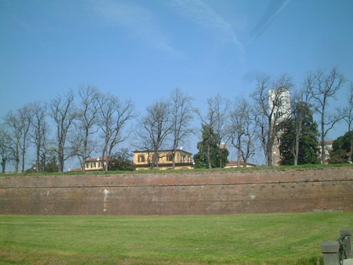 e0190984_10222457.jpg