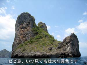 今日もまだいますか?ジ○○○君!?_f0144385_005974.jpg