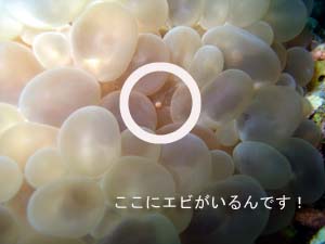 今日もまだいますか?ジ○○○君!?_f0144385_011946.jpg