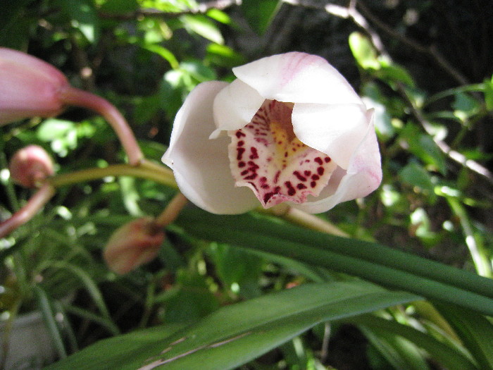 c0132387_23185616.jpg