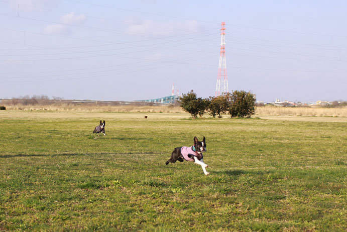 d0151787_1020943.jpg