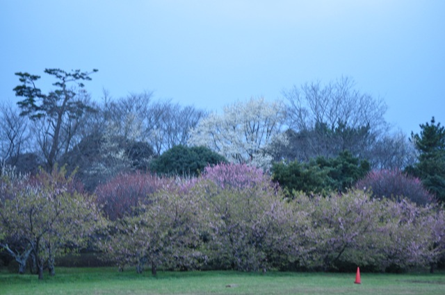 闇に包まれる前に_a0126590_23443538.jpg