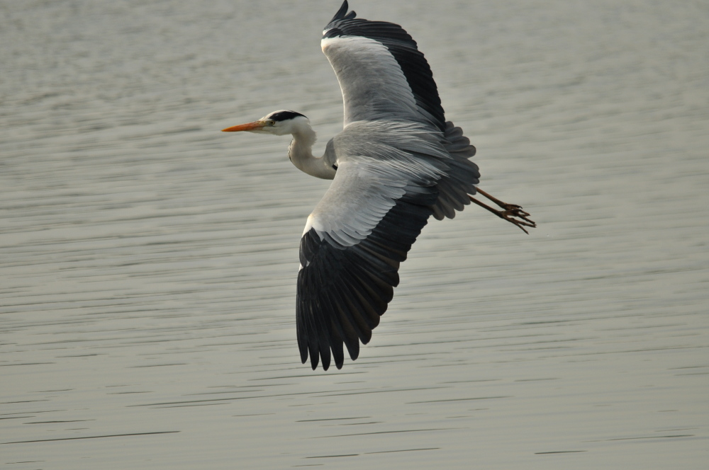 a0143491_121366.jpg