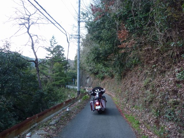 b0190092_1991832.jpg