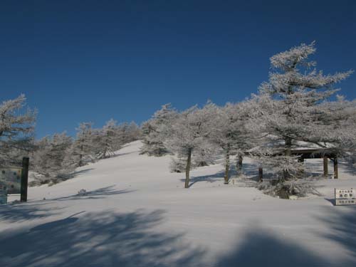 雪景色の朝_e0120896_8462818.jpg