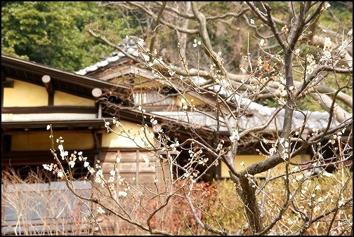 根岸なつかし公園 旧柳下邸　ひな祭り　ＰＡＲＴ１_b0145398_1738695.jpg