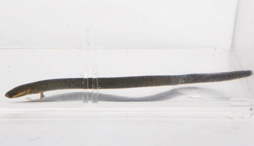 c0165803_0134245.jpg