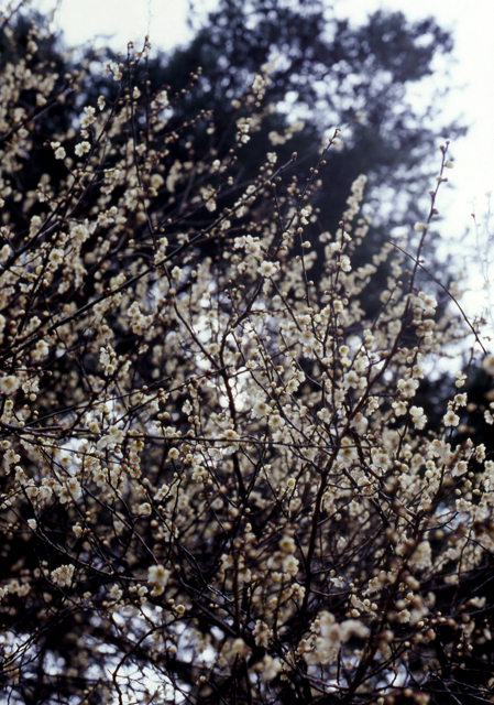 c0217406_23211659.jpg