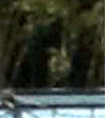e0103408_13443630.gif