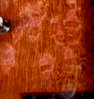 e0103408_13471396.gif