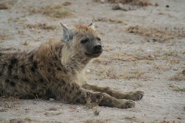 ケニヤ・さようならモラトリアム旅行‐18_e0168109_7433326.jpg