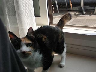 c0201113_21423772.jpg
