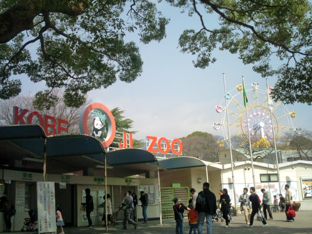 王子動物園_e0022614_11403128.jpg