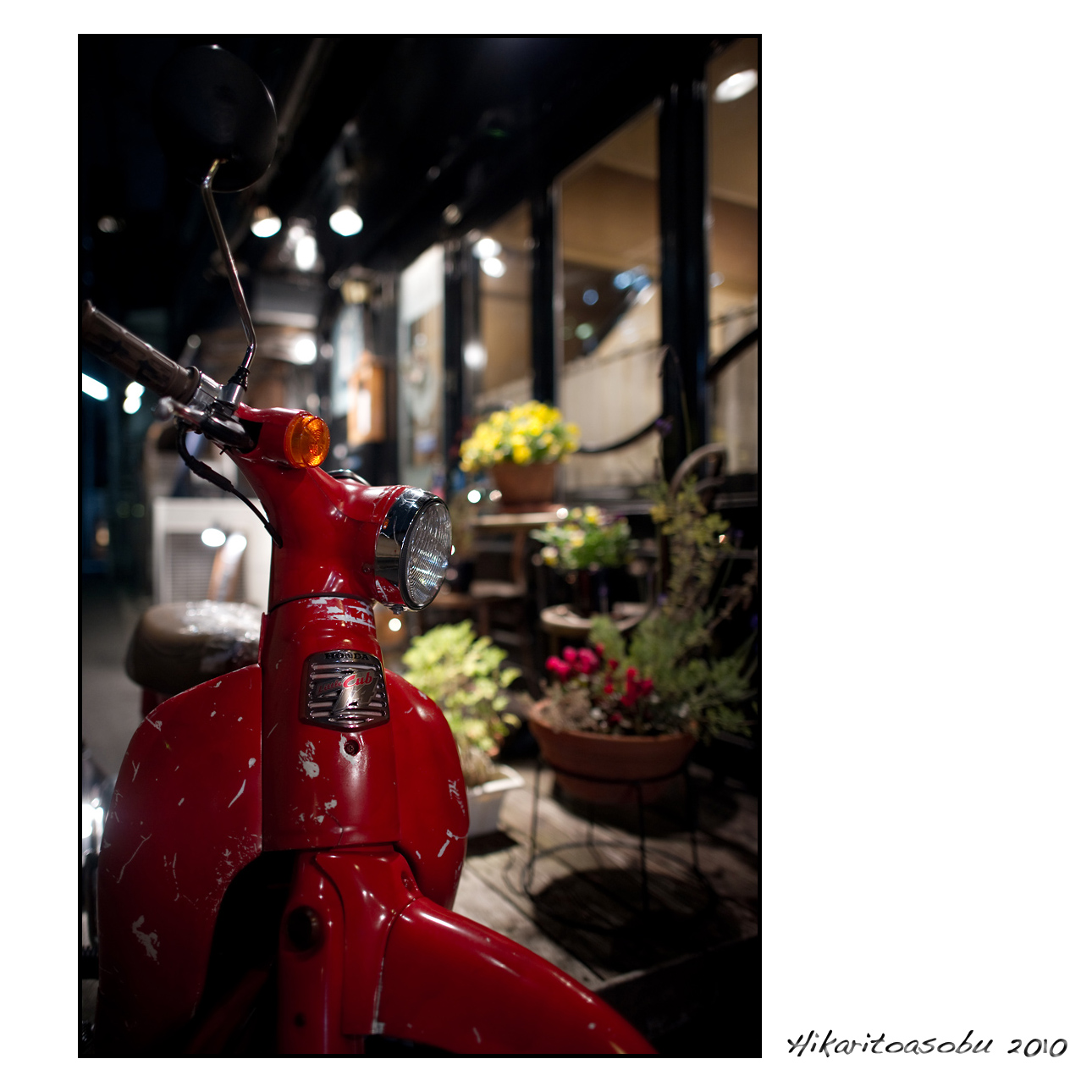 待望のルーキー♪  AF-S NIKKOR 24mm F1.4G ED_b0038825_19524885.jpg