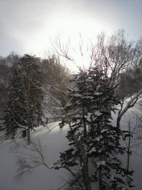 e0173533_13035.jpg