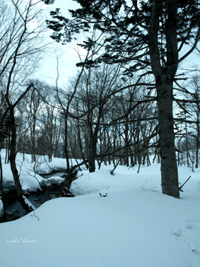 a0094336_85275.jpg