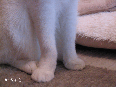 a0166338_9401489.gif
