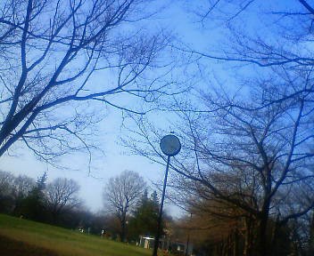 e0111142_17284857.jpg