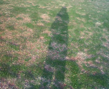 e0111142_1729108.jpg