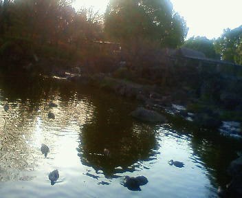 e0111142_17303079.jpg