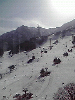 a0095746_15591165.jpg