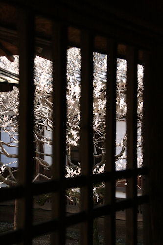 誇り高き、弘道館_f0048546_6373621.jpg