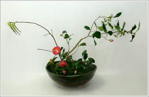 草月流生け花を楽しむ 枝ものでいける Tamins の花と空と月と 草月流生け花を楽しむ 枝ものでいける Tamins の花と空と月と
