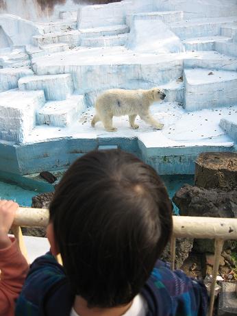 天王寺動物園_f0191259_2015677.jpg