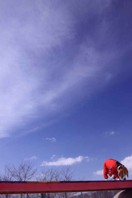 f0218159_21492120.jpg