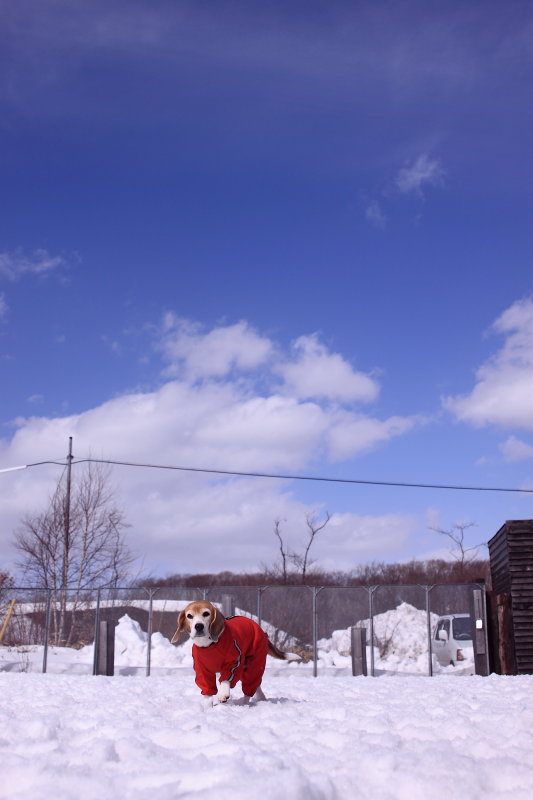 f0218159_2149538.jpg